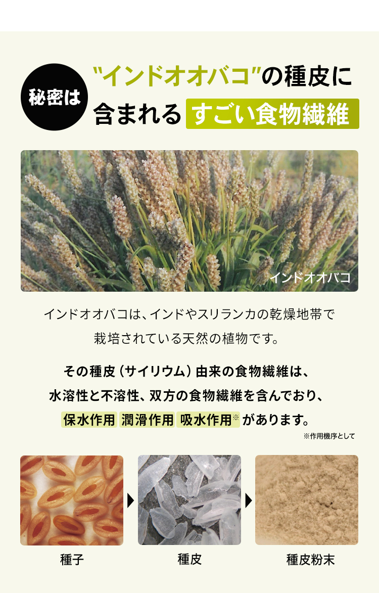 秘密はインドオオバコの種皮に含まれるすごい食物繊維