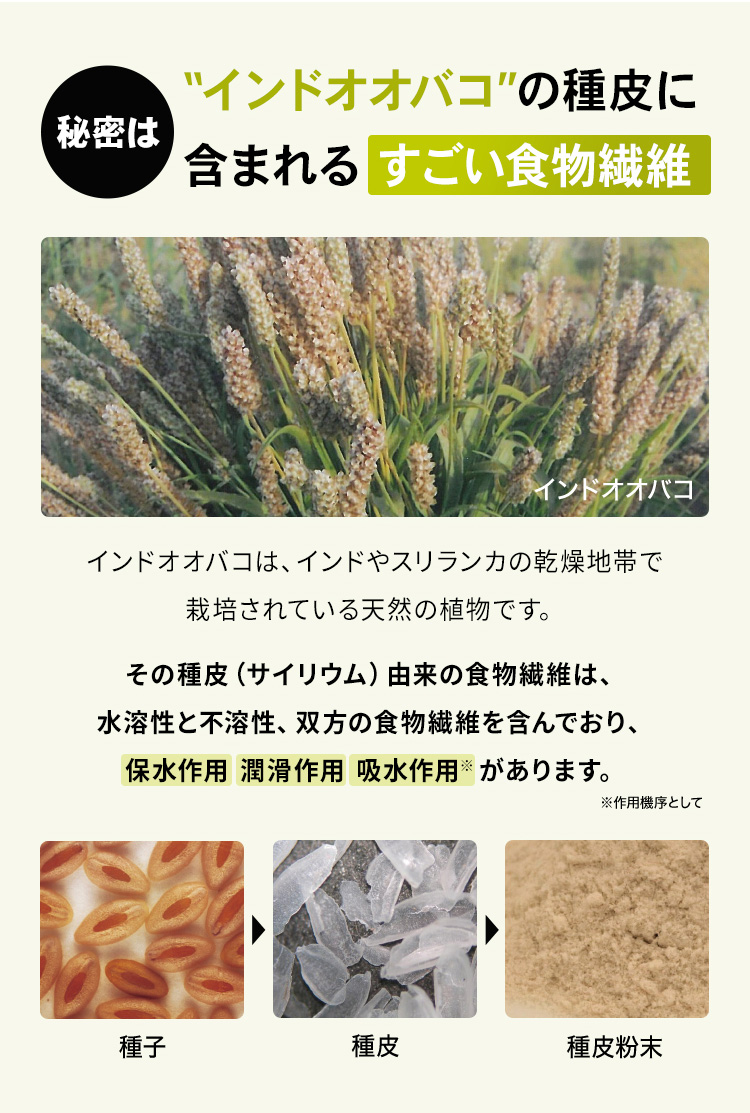 秘密はインドオオバコの種皮に含まれるすごい食物繊維